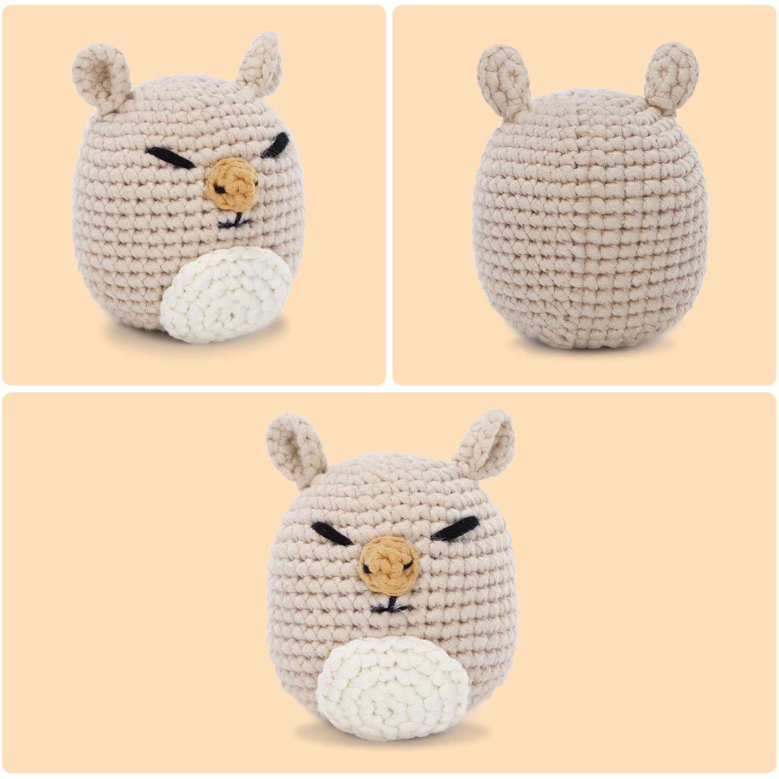 Complete Crochet Kit for Beginners—— Capybara
