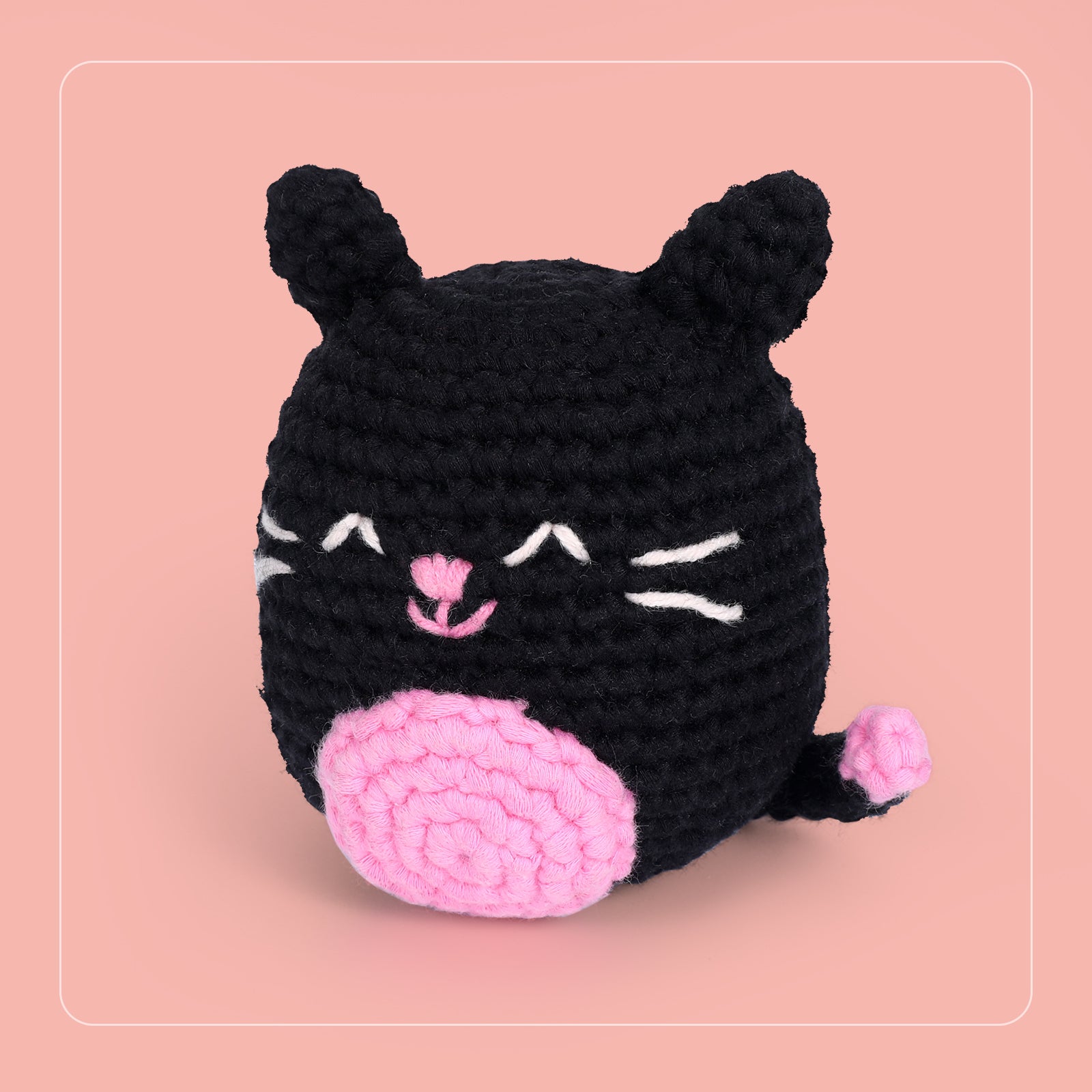 CROCHET BOX Complete Crochet Kit for Beginners - Cat