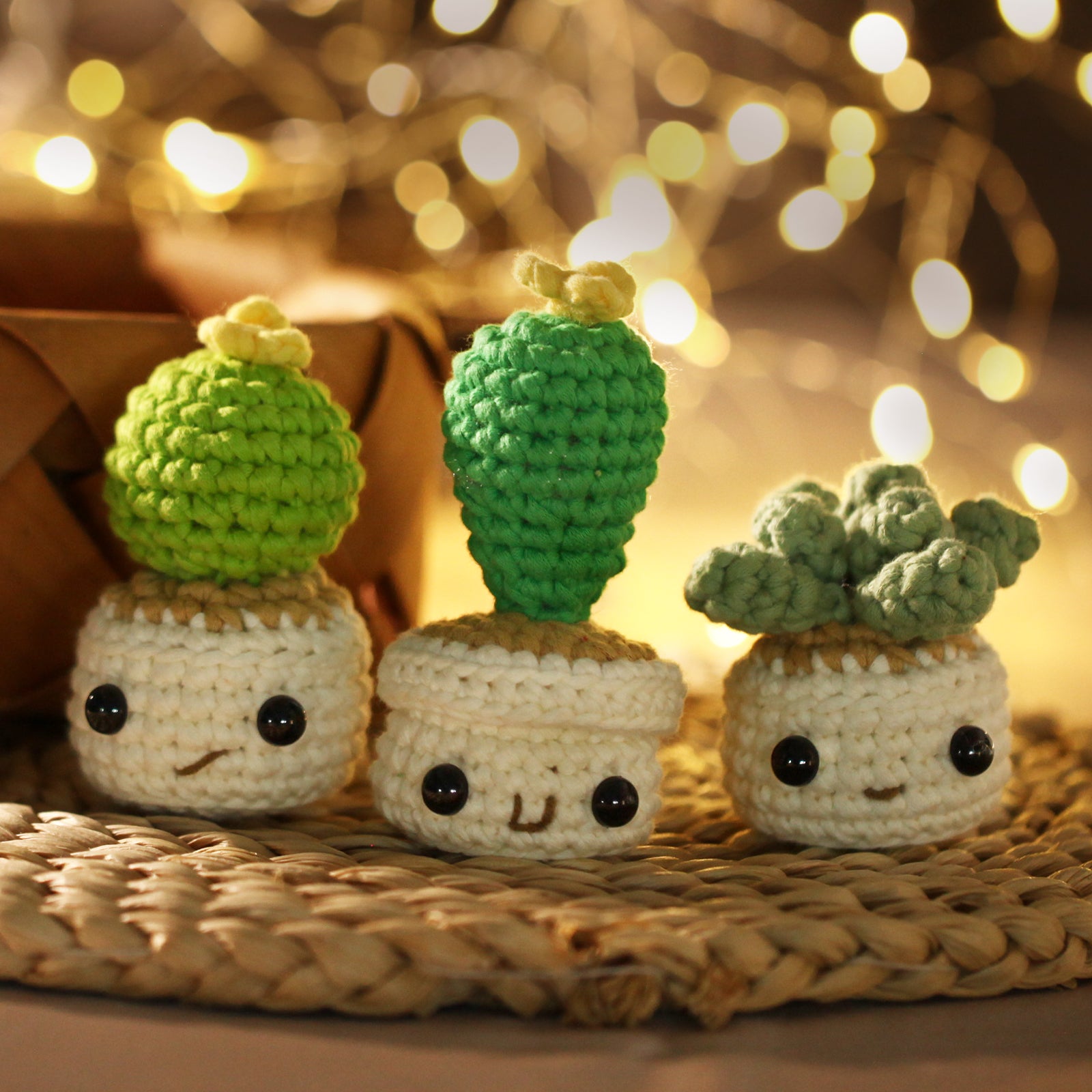 CROCHET BOX Complete Crochet Kit for Beginners - 3 PCS Smiley Potted Plant