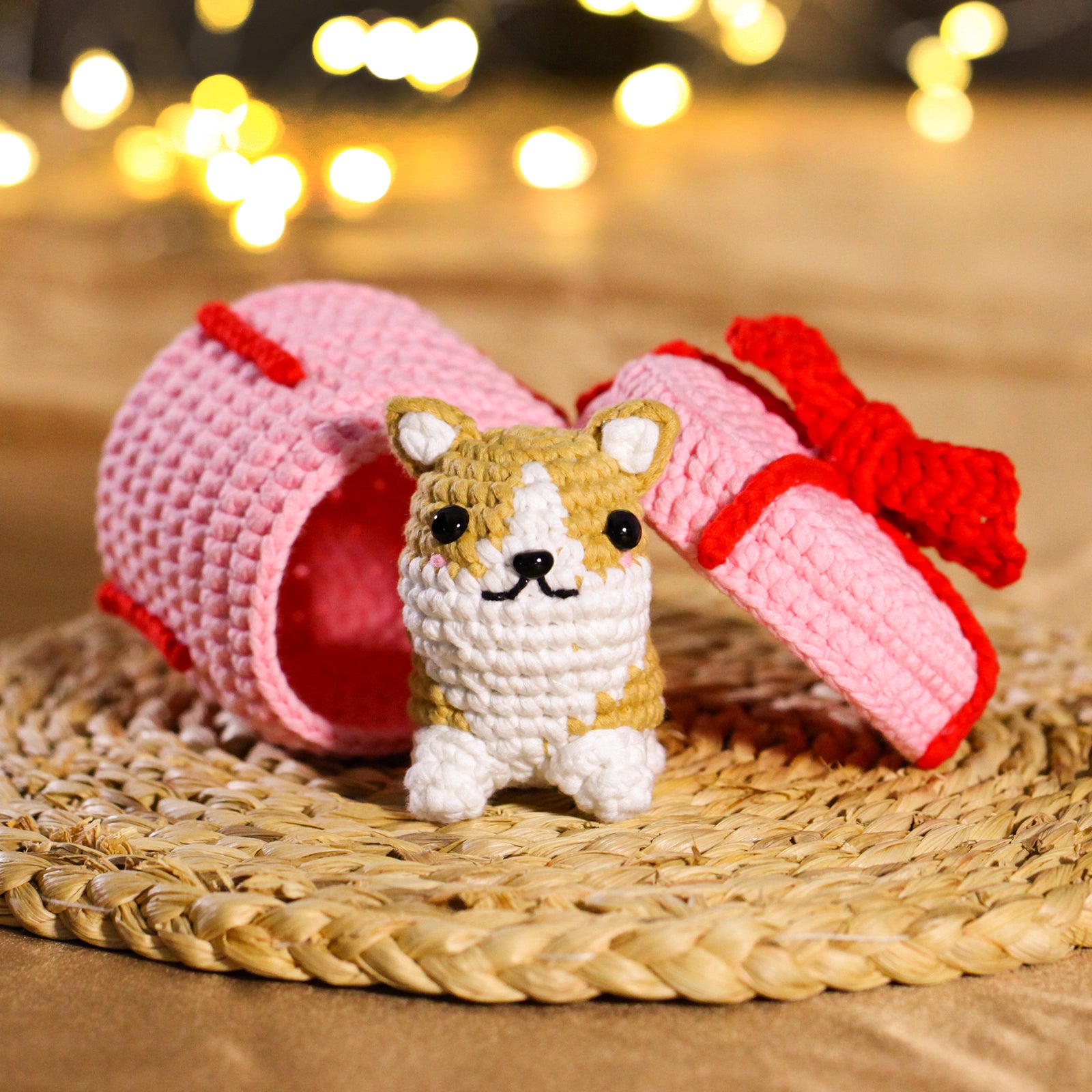 CROCHET BOX Complete Crochet Kit for Beginners —— Corgi Gift Box