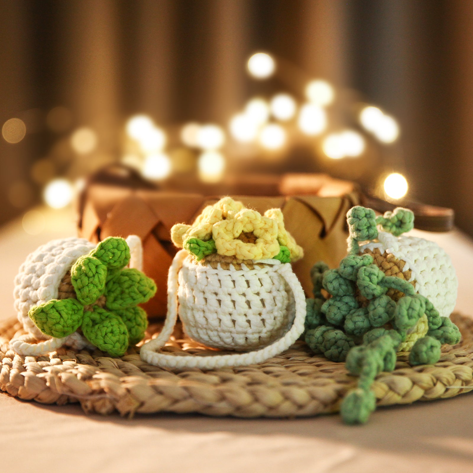 CrochetBox Crochet Kit for Beginners: 3 PCS Smiley Potted Plant Crochet Kit, Starter Crochet Kit for Adults Teens, All You Need In, Succulent, Cactus Style, Birthday, Holiday Gift, Desk Ornaments
