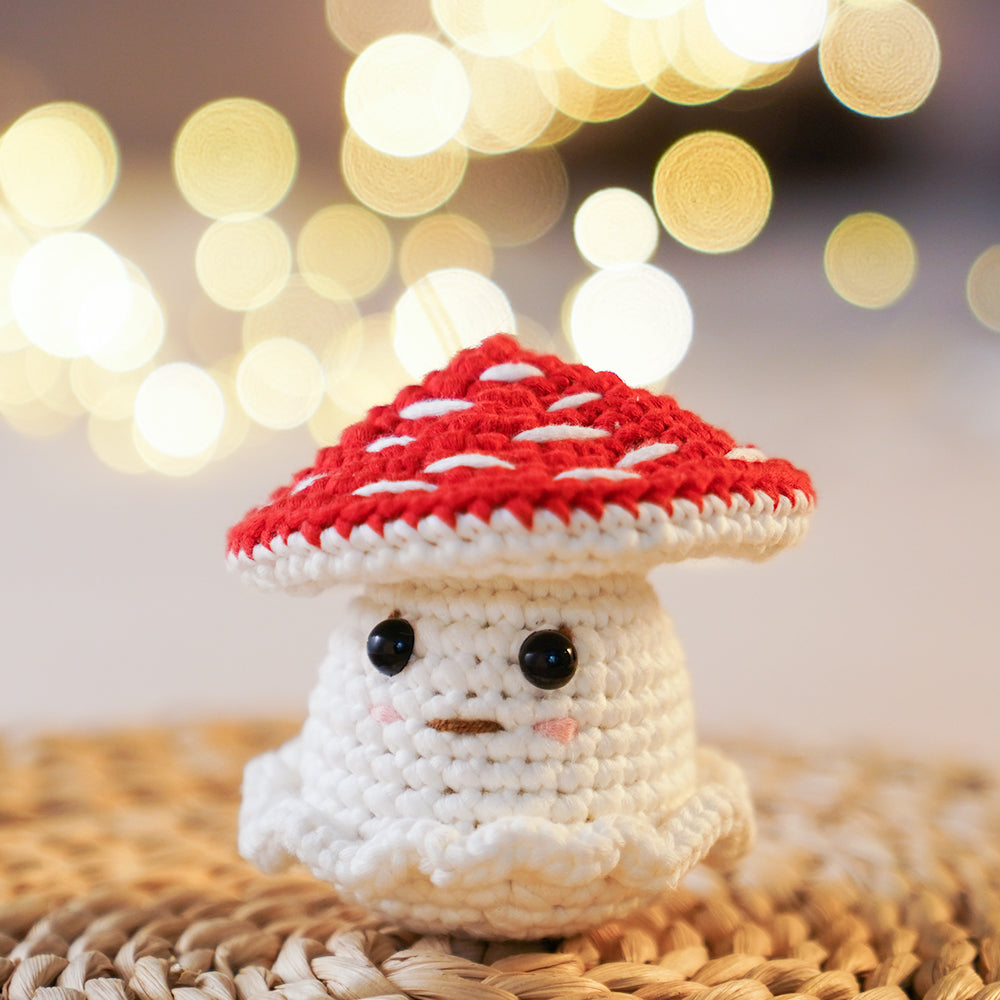 CROCHET BOX Complete Crochet Kit for Beginners - Mushy Duo