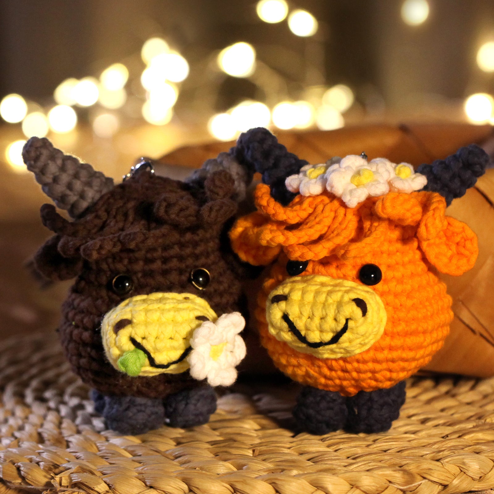 CROCHET BOX Complete Crochet Kit for Beginners —— Daisy Highland Cattle Mix