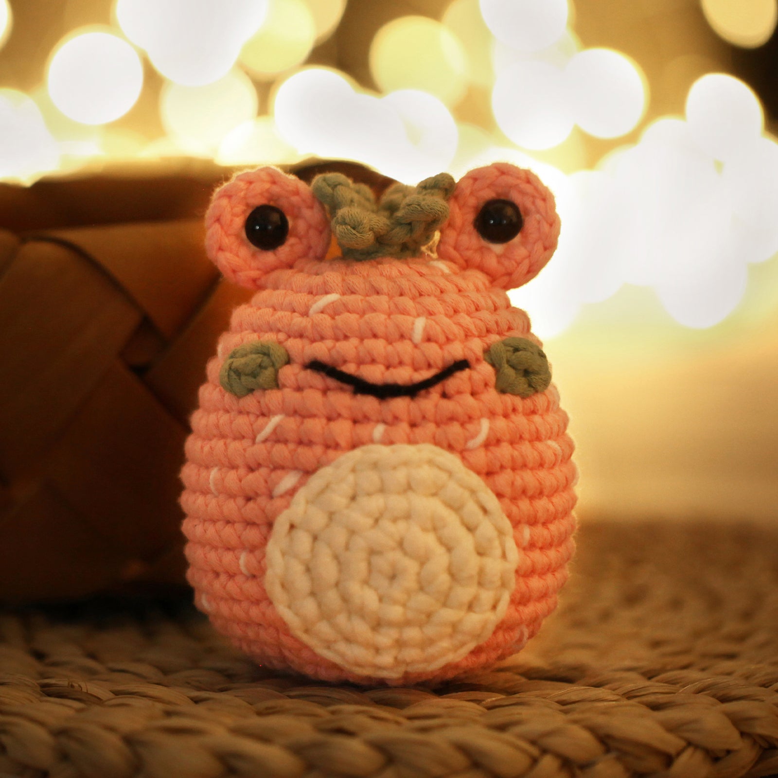 Complete Crochet Kit for Beginners —— Hello Flossie
