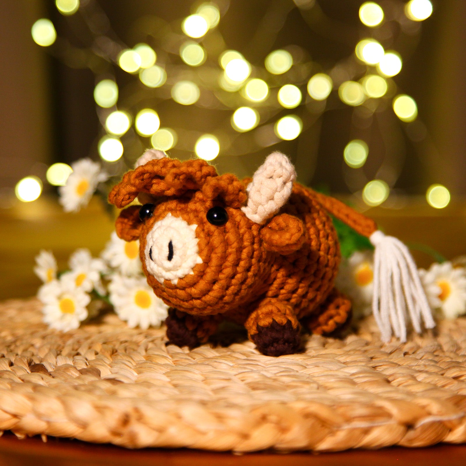 CROCHET BOX Complete Crochet Kit for Beginners ——Moozy
